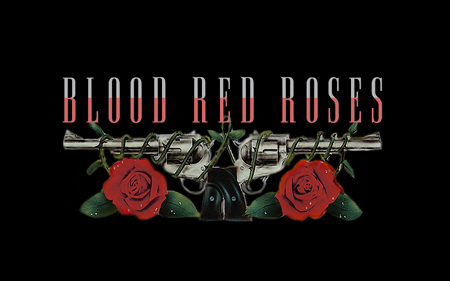 NIX DA!: A tribute to GUNS N´ ROSES – Blood Red Roses live im Roxy Concerts Flensburg